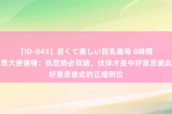 【ID-043】若くて美しい巨乳義母 8時間 中国驻好意思大使谢锋：仇怨势必双输，伙伴才是中好意思彼此的正细则位
