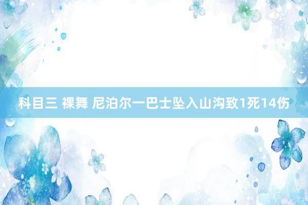 科目三 裸舞 尼泊尔一巴士坠入山沟致1死14伤