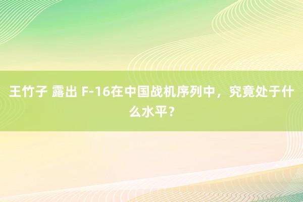 王竹子 露出 F-16在中国战机序列中，究竟处于什么水平？