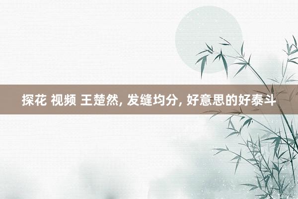 探花 视频 王楚然, 发缝均分, 好意思的好泰斗